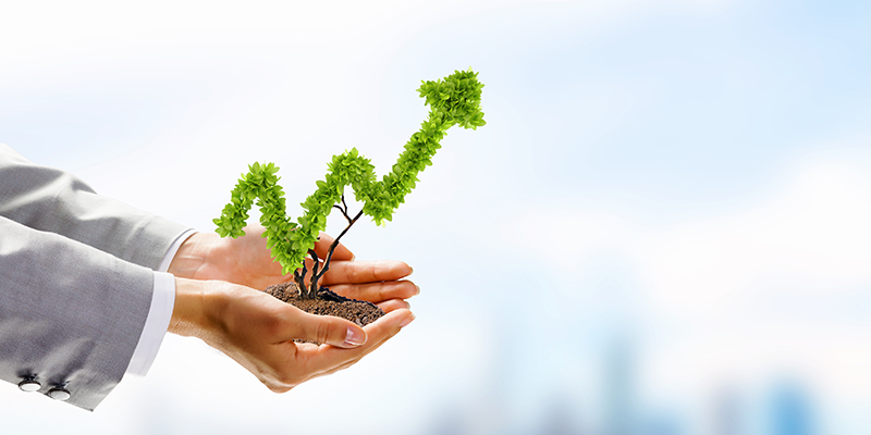 growth chart in the form of a plant